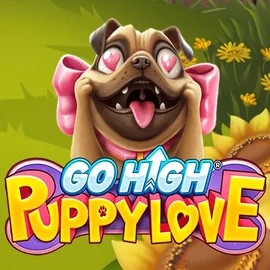 Play the Go High Puppy Love slot by RubyPlay on 50 Cent Casino